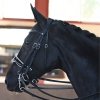 ogłowie-munsztukowe-ujeżdżeniowe-anatomiczne-antares-Origin-dressage-double-bridle (1)
